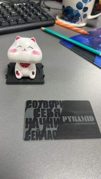 Абонемент на тренажерный зал Pyramid pride