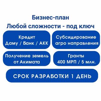 Бизнес план. Даму. АКК. СПК. Грант. Инвестиция. Фин.модель. ТЭО.