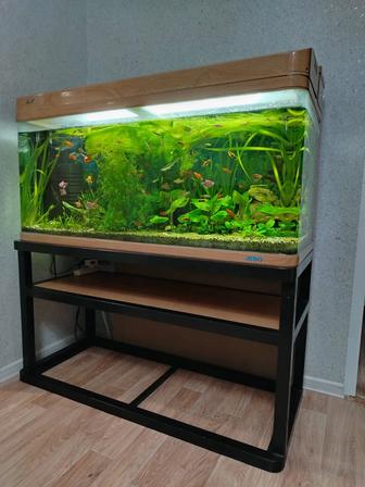 Продам аквариум JEBO