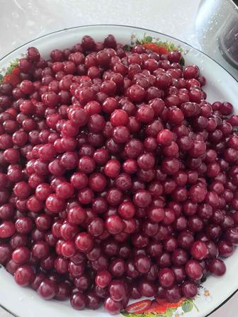 Продам вишню на заказ