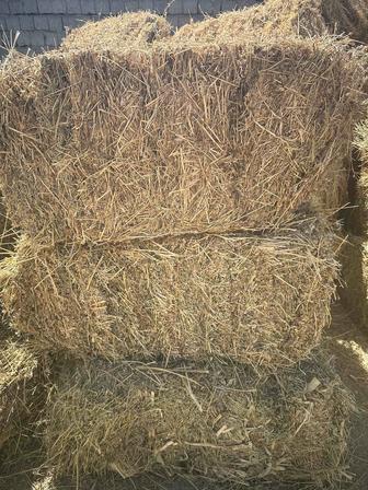 Жоңышқа аттараға прес шөп сабанда бар а