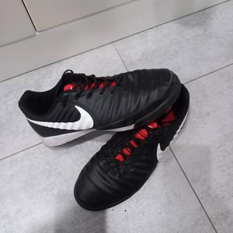 Сороконожки