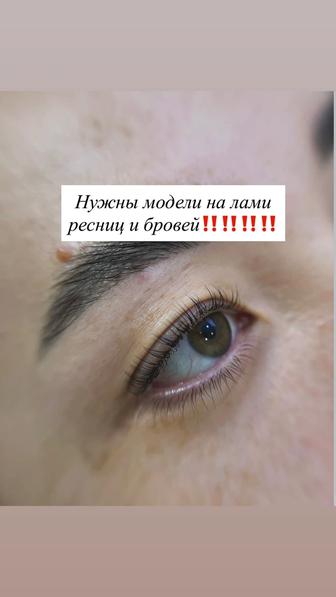 Нужны модели на лами ресниц и бровей