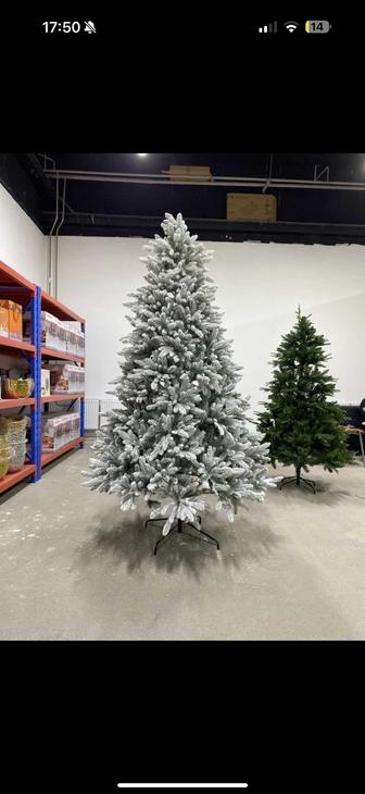 Елка снежная