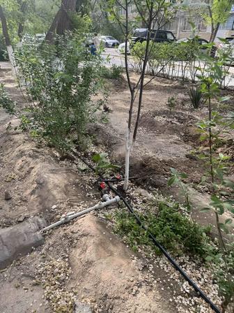 Все услуги садоводства, услуги озеленения