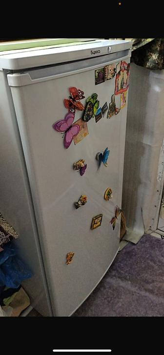 Холодильник Бирюса