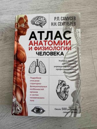 Книга. Энциклопедия. Медицинский атлас. И раскраска медицинская.