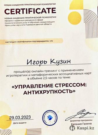 Индивидуальные психологическое сопровождение онлайн.