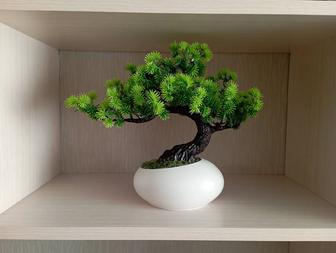 Дерево Бонсай в гипсовом кашпо