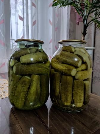 Огурцы