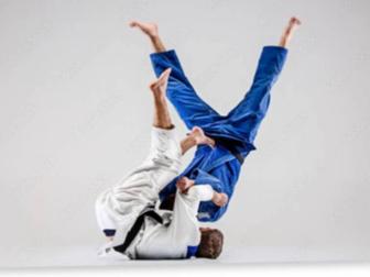 джиу-джитсу