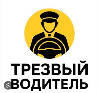 Трезвый водитель Шымкент город