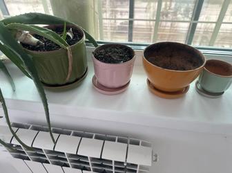 Керамические горшки