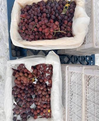 Виноград вкусный сладкий