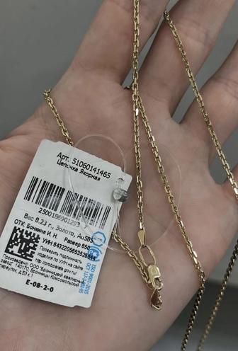 Бронницкий цепь россия