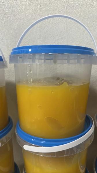 Продам мед подсолнечное