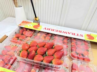 Клубника Египет