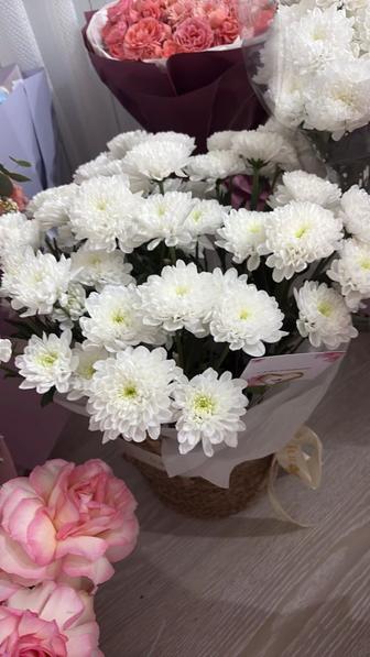 Цветы свежие