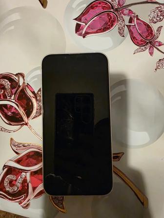 iPhone13