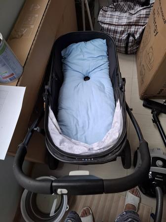 Коляска Prego