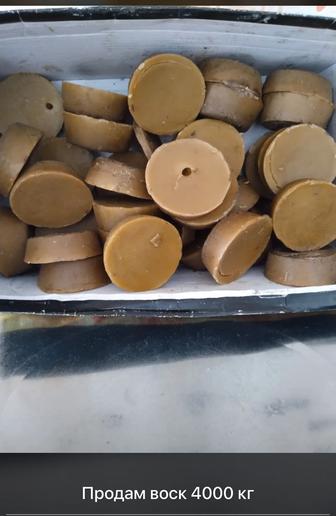 Продам воск пчелиный