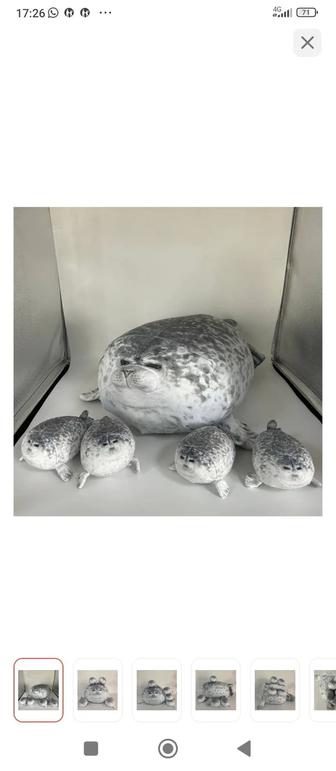 Тюлень новый