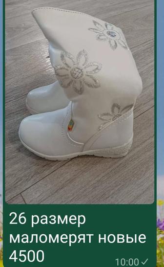 Сапоги зимние детские