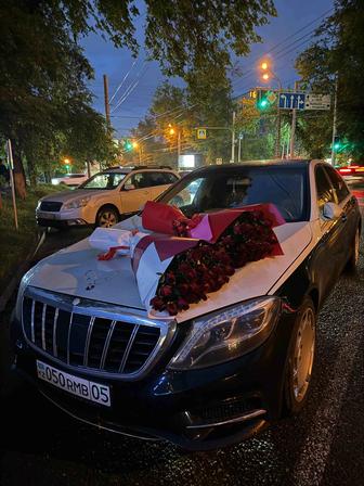 Прокат автомобилей