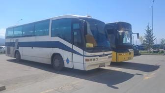 Услуги автобусов и микроавтобусов