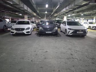 Аренда авто можно на РЕД