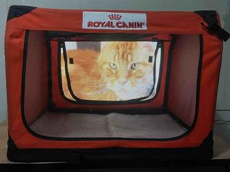 Переноска, выставочная палатка для кошек и собак Royal Canin