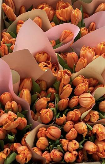 Тюльпаны из Белорусии