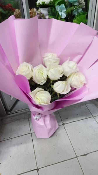 Голландские розы