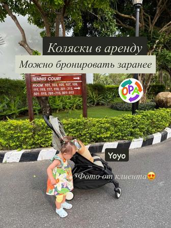 Аренда коляски Yoyo2