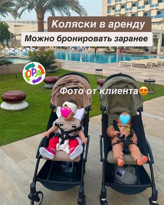 Аренда коляски Yoyo2