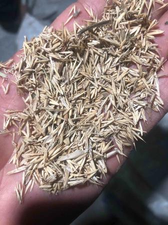 Продам житняк (семена газона)