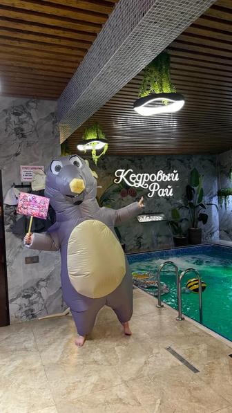 Костюм крысы на поздравление , аренда