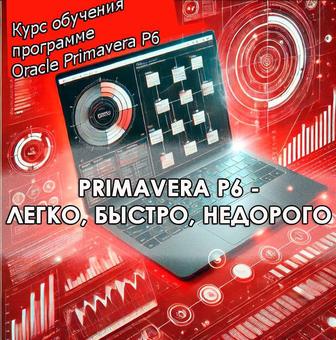 Обучение Примавера П6 (Oracle Primavera P6)