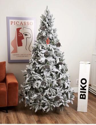 Ёлки Новогодние, Шырша