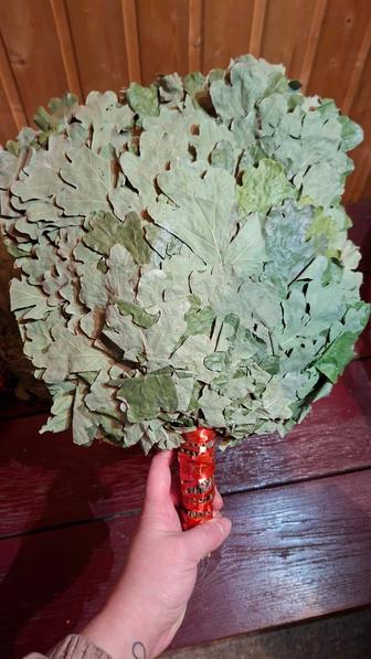 Веник дубовый