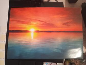 Epson l805 принтер