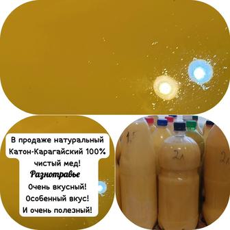 Продам натуральный мед из ВКО
