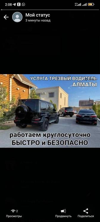 Трезвый водитель