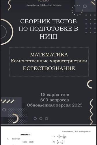 Тесты НИШ -2025 года выпуска