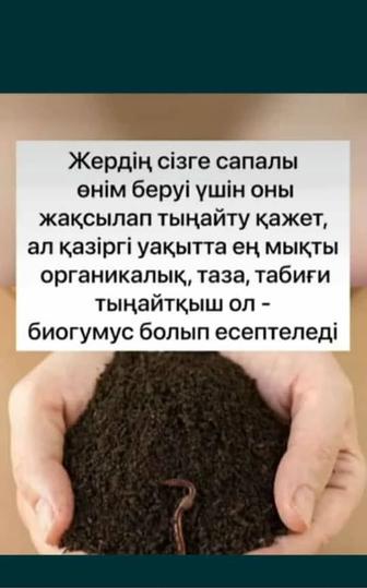 Продам биогумус, торг есть