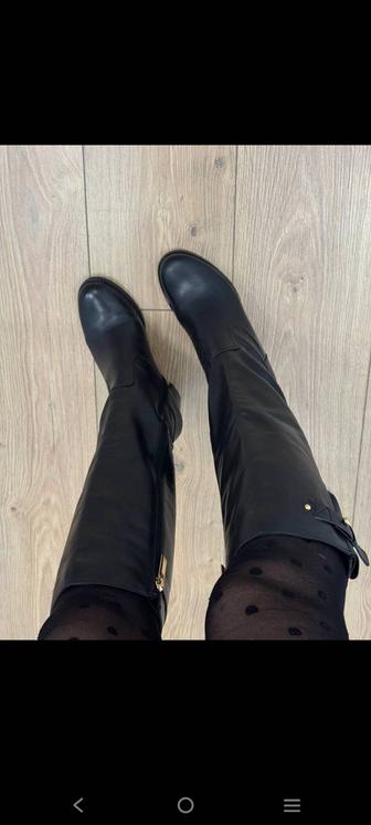 Сапоги осень женские