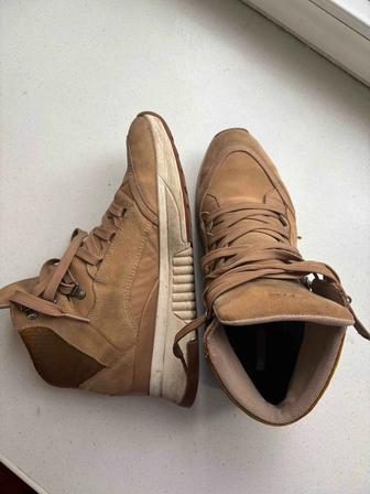 Женские зимние ботинки Geox