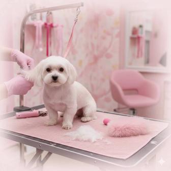 Стрижка собак и кошек в Щучинске! Груминг Бережный уход!