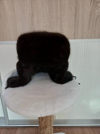 Норковую ушанку