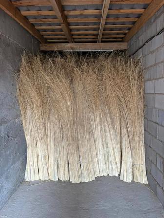 Чиевые метла (Чий)